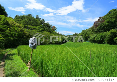 Rural scenery in Maioka Park, the original scenery of Yokohama 92975147