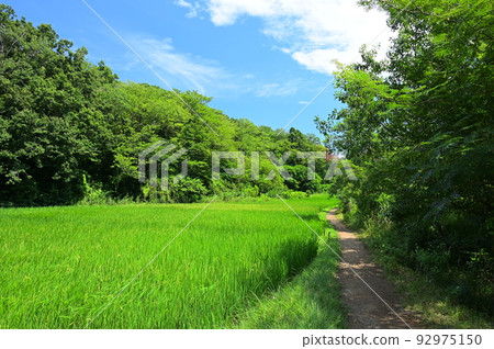 Rural scenery in Maioka Park, the original scenery of Yokohama 92975150