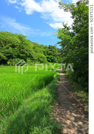 Rural scenery in Maioka Park, the original scenery of Yokohama 92975151