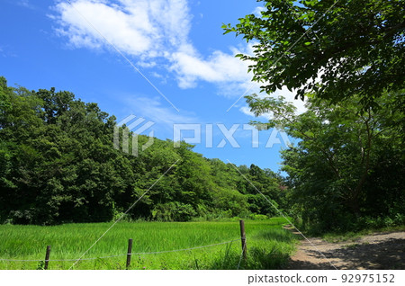 Rural scenery in Maioka Park, the original scenery of Yokohama 92975152
