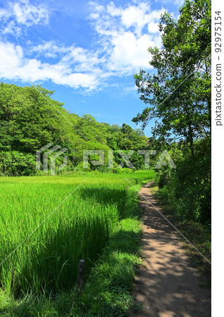 舞岡公園的田園風光，橫濱的原始風景 92975154