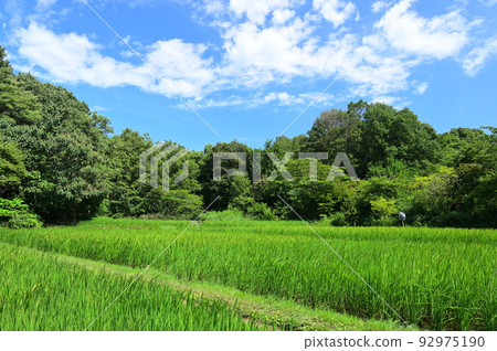 舞岡公園的田園風光,橫濱殘留的里山風光 舞岡公園的田園風光,橫濱殘留的里山風光 92975190