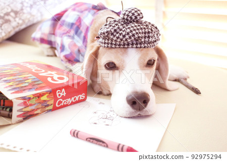 小獵犬藝術家 92975294