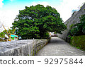 首里城的榕樹 92975844
