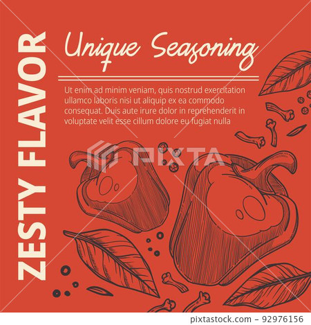 Unique seasoning, organic and zesty flavor vector 92976156