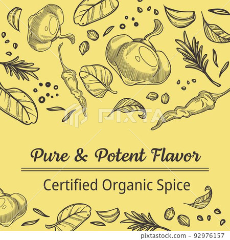 Pure and potent flavor, organic spice banners 92976157