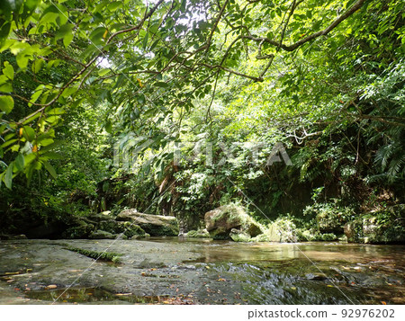 Upstream of Pinaisara Falls 92976202