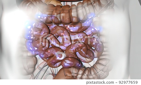 Digestion of nutrients in the stomach and energy to the body Digestion of nutrients in the stomach and energy to the body 92977659
