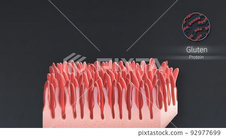 Realistic villi inside the intestines under the microscope. Realistic villi inside the intestines under the microscope. 92977699