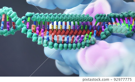 The genetic structure of 3D animated DNA The genetic structure of 3D animated DNA 92977775