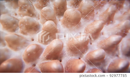 intestines in the depth of the villi of the convoluted area with carbohydrate molecules intestines in the depth of the villi of the convoluted area with carbohydrate molecules 92977785