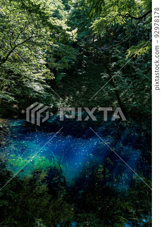 Zuiko Aoike 92978178