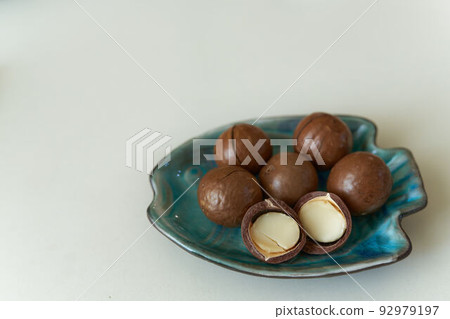 roasted shelled macadamia roasted shelled macadamia 92979197