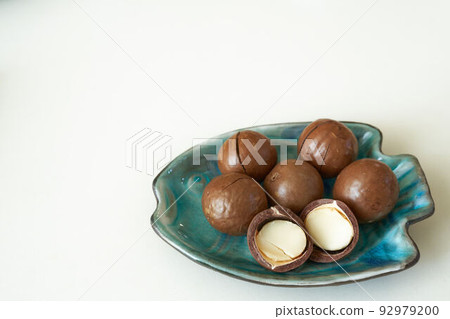 roasted shelled macadamia 92979200