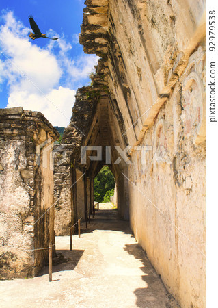 Traces of Mayan civilization sleeping in the dense forest Traces of Mayan civilization sleeping in the dense forest 92979538