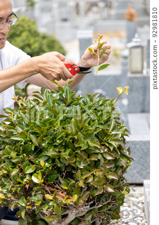 一位老人來參觀墳墓並照顧墳墓中的植物 一位老人來參觀墳墓並照顧墳墓中的植物 92981810