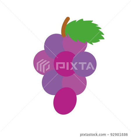 Simple grape illustration - Stock Illustration [92981886] - PIXTA