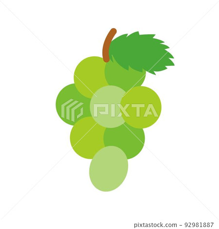 Illustration of a simple Muscat Illustration of a simple Muscat 92981887