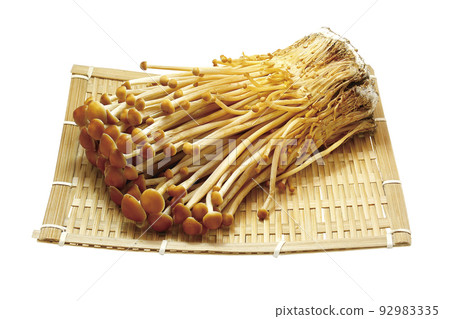 棕色金針菇_03（通過） 92983335