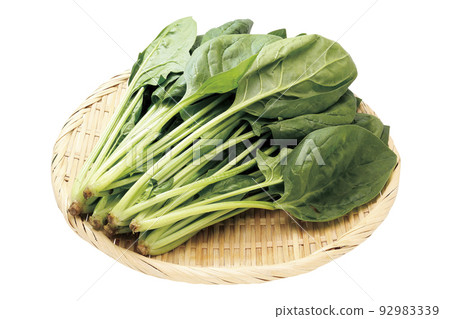 菠菜_01（通過） 92983339