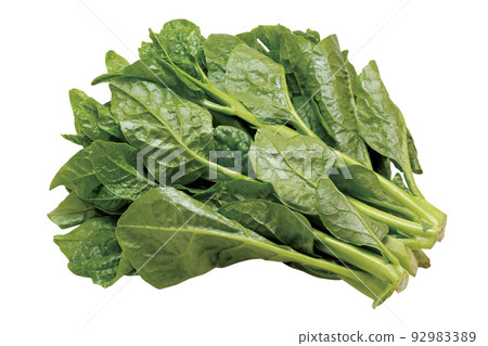 Tsurumurasaki_09（有通行證） 92983389