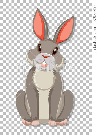 Cute rabbit on grid background Cute rabbit on grid background 92983453