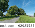 Kyoto, Heiankyo, Saiji Temple Ruins 92983585