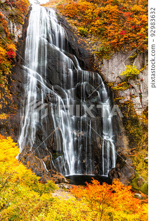 [秋田縣安須瀑布]大自然創造的絕景“安須瀑布的紅葉”10月 92983632