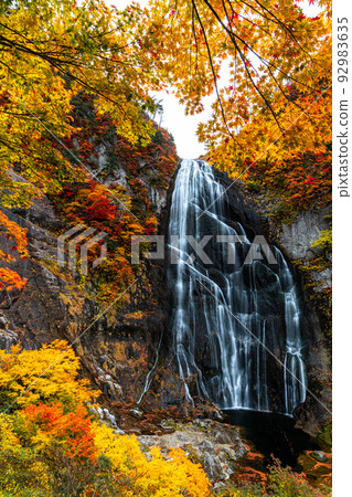 [Akita Prefecture Yasu Falls] Superb view created by nature "Autumn leaves of Yasu Falls" October 92983635