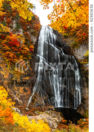[Akita Prefecture Yasu Falls] Superb view created by nature "Autumn leaves of Yasu Falls" October 92983636