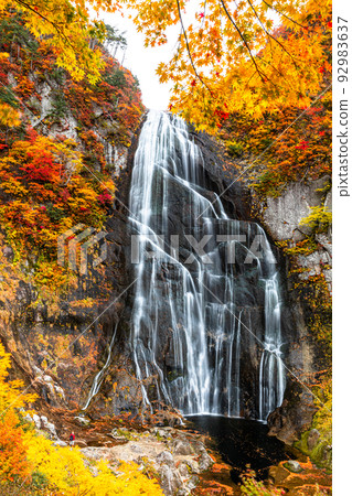 [Akita Prefecture Yasu Falls] Superb view created by nature "Autumn leaves of Yasu Falls" October 92983637