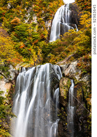 [秋田縣安須瀑布]大自然創造的絕景“安須瀑布的紅葉”10月 92983645