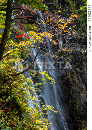 [Akita Prefecture/Ichinotaki] Superb view created by nature "Autumn leaves of Ichinotaki" October 92983831