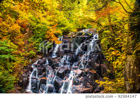 [Akita Prefecture Ninotaki Falls] Superb view created by nature "Autumn leaves of Ninotaki Falls" October 92984147