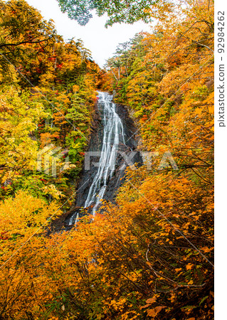 [秋田縣神戶瀑布]大自然創造的絕景“神戶瀑布的紅葉”10月 92984262