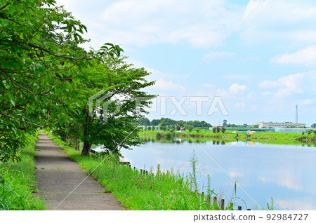 埼玉縣白岡市芝山沼澤的風景 92984727