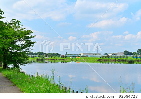 埼玉縣白岡市芝山沼澤的風景 92984728