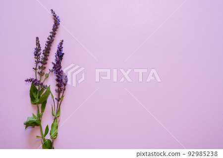Lavender flowers on pink background. Copy space. flat lay Lavender flowers on pink background. Copy space. flat lay 92985238