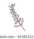 Nature line art Vector elements illustration 92985322