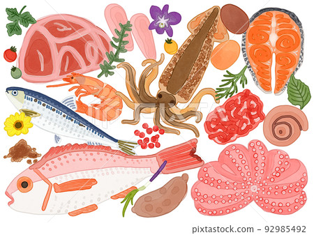 Illustration of fresh ingredients, meat and fish, watercolor painting 92985492