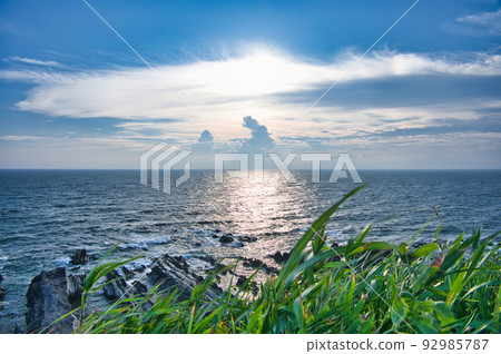 荒崎公園,從夕陽丘看到的大海 荒崎公園,從夕陽丘看到的大海 92985787