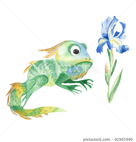 Cute iguana and blue iris isolated on white background. Watercolor hand drawn illustration. 92985990