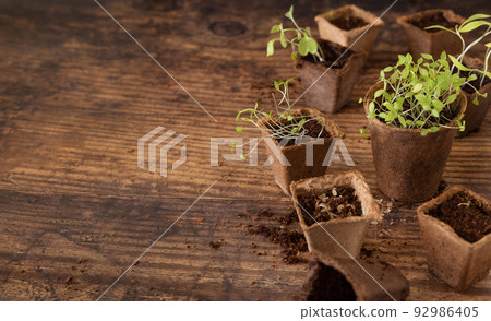 Vegetable seedlings in biodegradable pots on wooden table close up. Urban gardening 92986405