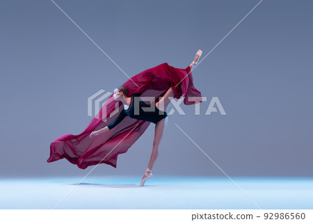 Portrait of young tender ballerina in black bodysuit dancing with deep red fabric isolated over blue grey studio background. 92986560