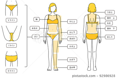 女性脫毛圖解全身和VIO 女性脫毛圖解全身和VIO 92986928