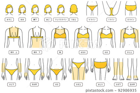 女性脫毛插圖，面部脫毛，VIO，上半身，下半身 92986935