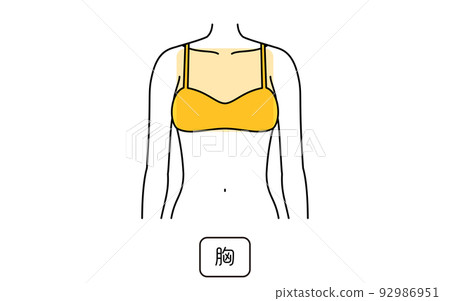 女性脫毛圖解 由零件、胸部隔開 92986951
