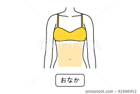 女性脫毛圖解 分離部位、腹部 92986952