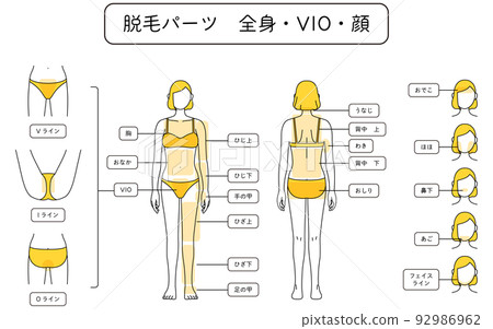 女性脫毛圖解全身/VIO/面部 92986962