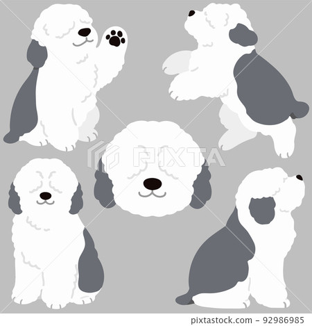 Simple and cute Old English Sheepdog illustration set No main line 92986985